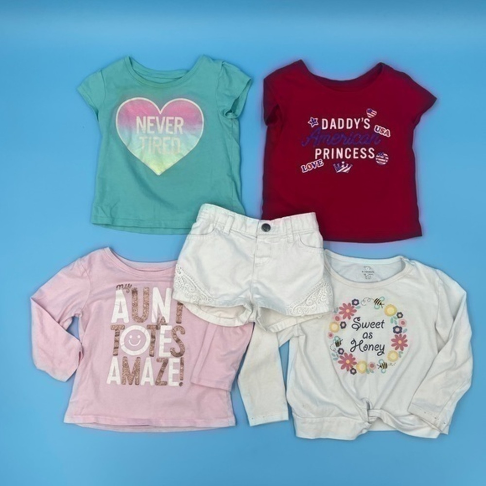 FIVE Piece Lot of 18-24 Months Girl Clothes